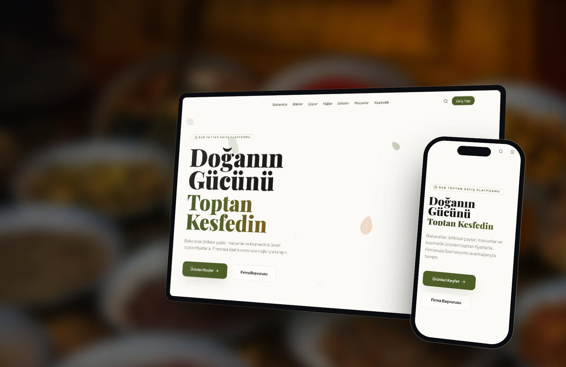 Uçtan Uca B2B Sistemi